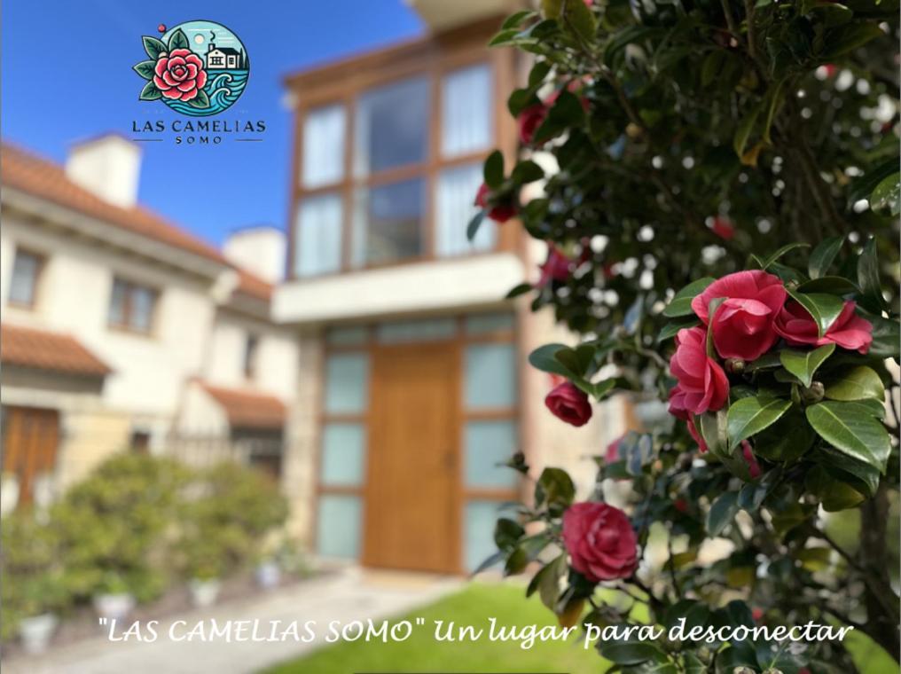 "Las Camelias Somo" Un Lugar Para Desconectar!! Vistas Al Mar!! Екстериор снимка